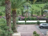 Dans les jardins un environnement d'hortensias